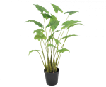 Kunstplant Alocasia 94cm 